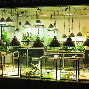 Reptile house nursery room, 2022-10-29
