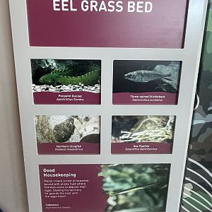 Aquarium Signage Example