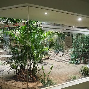South American indoor aviary, 2022-10-29