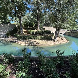 Great cats, Tiger exhibit