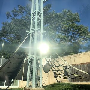 First outdoor orangutan exhibit