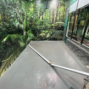 Empty Exhibit - ex-Squirrel Monkey