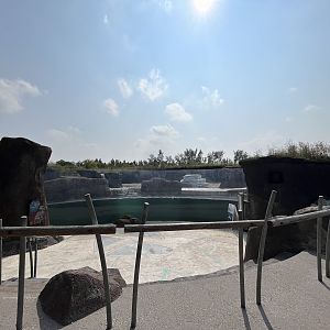 Polar Extremes - pinnipeds