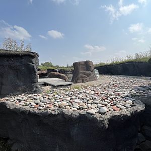 Polar Extremes - pinnipeds