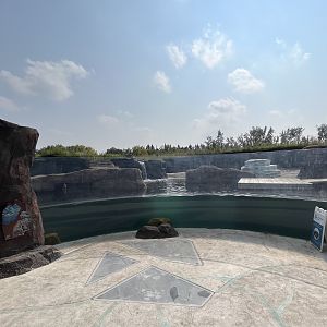 Polar Extremes - pinnipeds