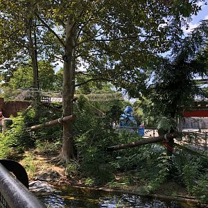 Primate house, lemur exhibit