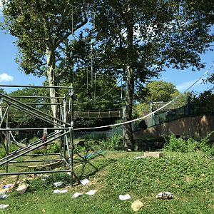 Primate house, Outdoor gibbon and orangutan exhibit