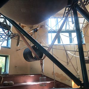 Primate house, Indoor gorilla exhibit