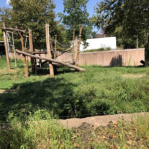 Primate house, Outdoor gorilla exhibit