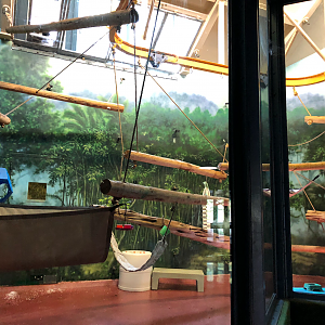 Primate house, Ruffed lemur exhibit