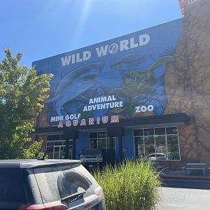 Branson's Wild World -- Branson's Wild World Building