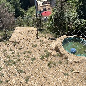 Branson's Wild World -- Wolf Enclosure (EMPTY)