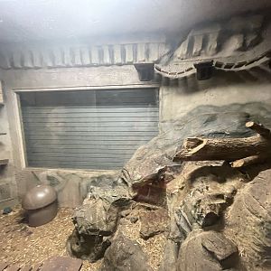 Branson's Wild World -- Small Spotted Genet Enclosure