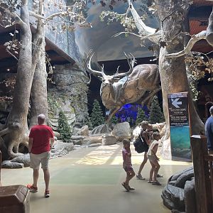 Wonders of Wildlife--- Museum Entrance