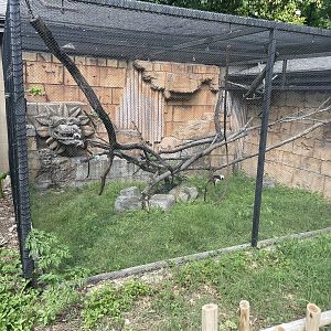 Dickerson Park Zoo-- Cotton-Top Tamarin Exhibit