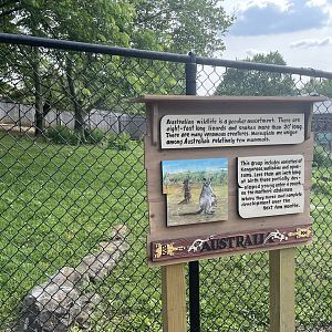 Dickerson Park Zoo-- Red Kangaroo Exhibit