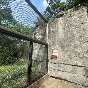 Dickerson Park Zoo-- Black Bear Viewing Gallery