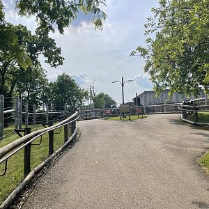 Dickerson Park Zoo-- Elephant Area