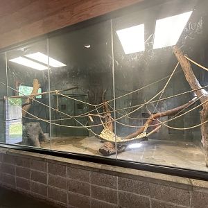 Dickerson Park Zoo-- Siamang Indoor Enclosure