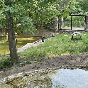 Dickerson Park Zoo-- North American River Otter Enclosure