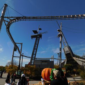 Indianapolis Zoo- Orangutan Complex