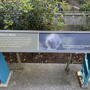 Signage explaining Rime’s absence