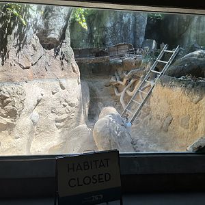 River Otter Habitat under Renovation