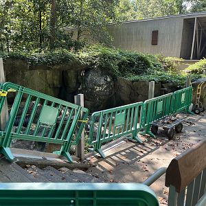 River Otter Habitat under Renovation