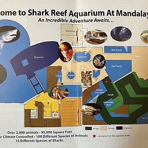 Aquarium Map - 2011