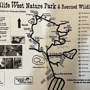 Zoo Map - 2013