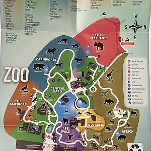 Zoo Map - 2019
