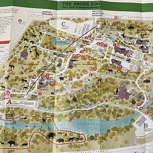 Zoo Map - circa 1988