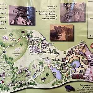 Zoo Map - undated