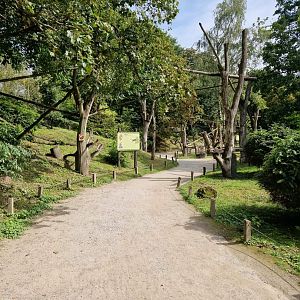 Walkthrough Guereza exhibit