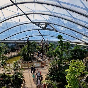 Meranti hall, view from the bridge