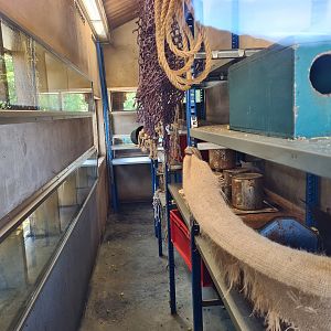 Nortica - Brown rat enclosure