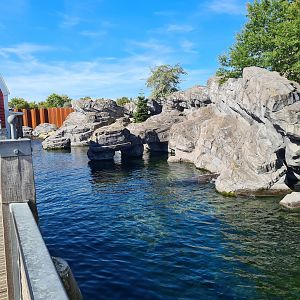 Nortica - Fur seal and sea lion enclosure
