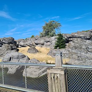 Nortica - Fur seal and sea lion enclosure
