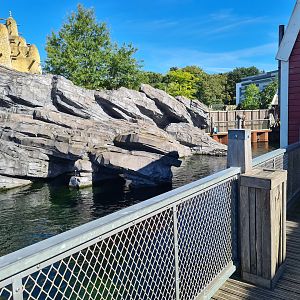 Nortica - Fur seal and sea lion enclosure