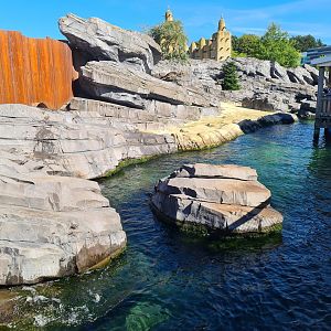 Nortica - Fur seal and sea lion enclosure