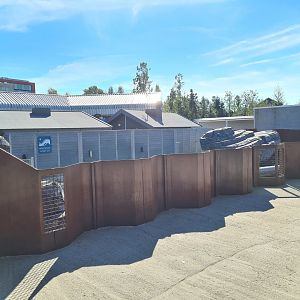 Nortica - Sea lion viewing area