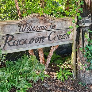 Nortica - Raccoon creek signage