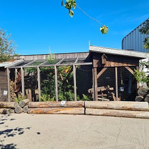 Nortica - Siberian red squirrel enclosure