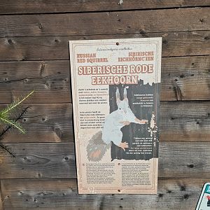 Nortica - Siberian red squirrel signage