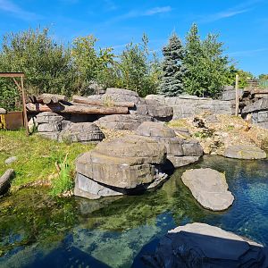 Nortica - Beaver enclosure