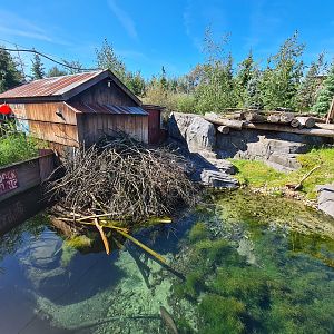 Nortica - Beaver enclosure