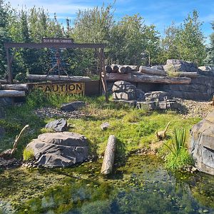Nortica - Beaver enclosure