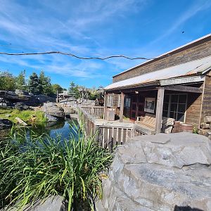 Nortica - Porch viewing area over beaver enclosure