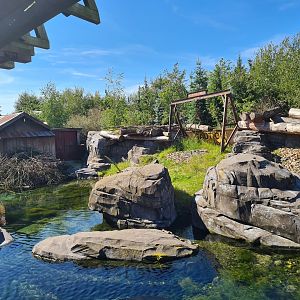 Nortica - Beaver enclosure