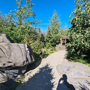 Nortica - Walkway in beaver area